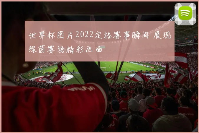 世界杯图片2022定格赛事瞬间 展现绿茵赛场精彩画面