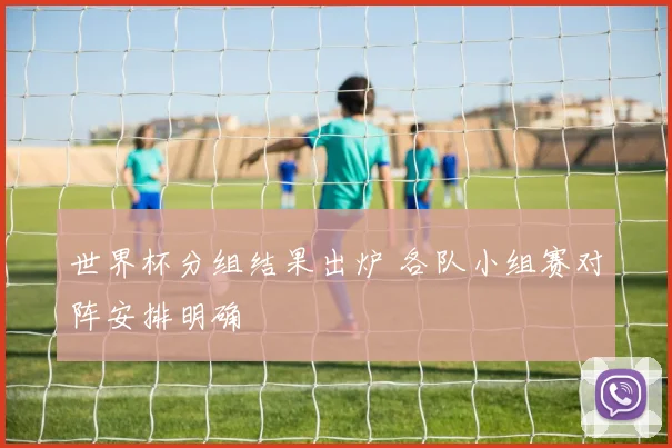 世界杯分组结果出炉 各队小组赛对阵安排明确