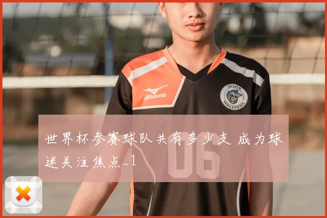世界杯参赛球队共有多少支 成为球迷关注焦点_1