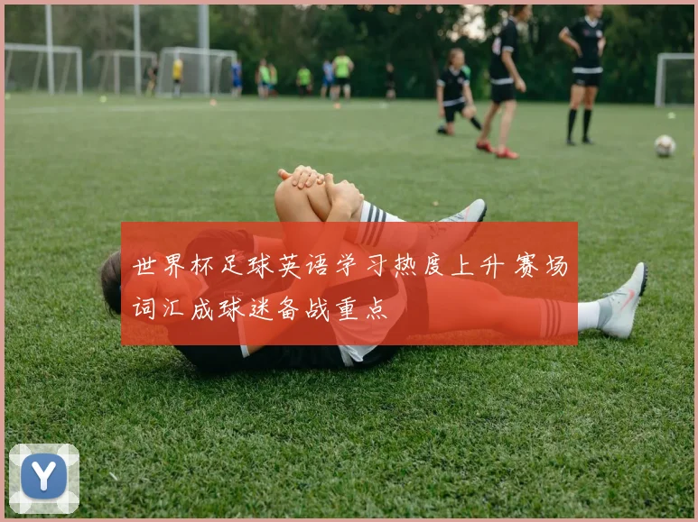 世界杯足球英语学习热度上升 赛场词汇成球迷备战重点