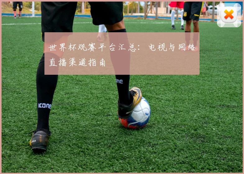 世界杯观赛平台汇总:电视与网络直播渠道指南