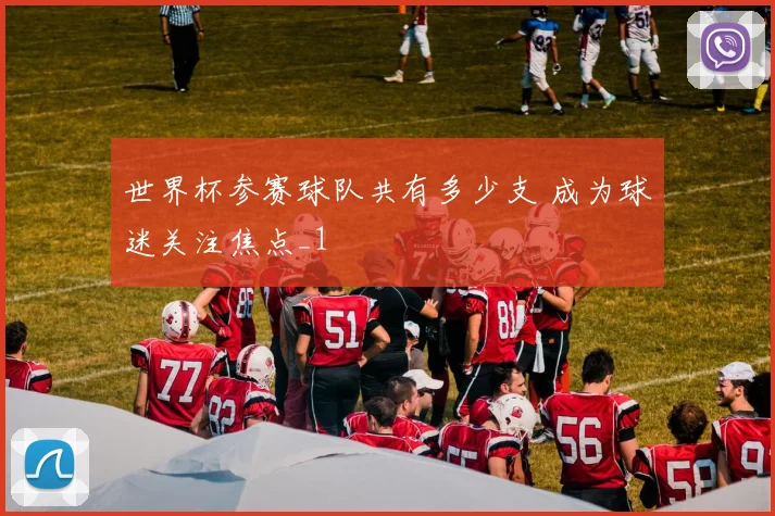 世界杯参赛球队共有多少支 成为球迷关注焦点_1