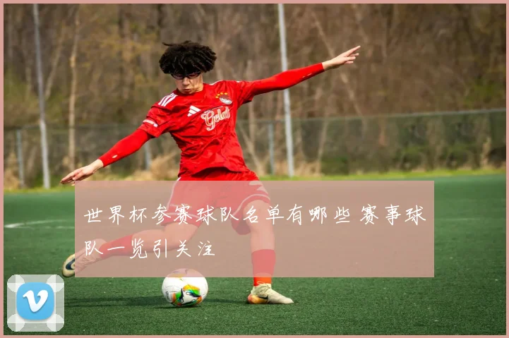 世界杯参赛球队名单有哪些 赛事球队一览引关注